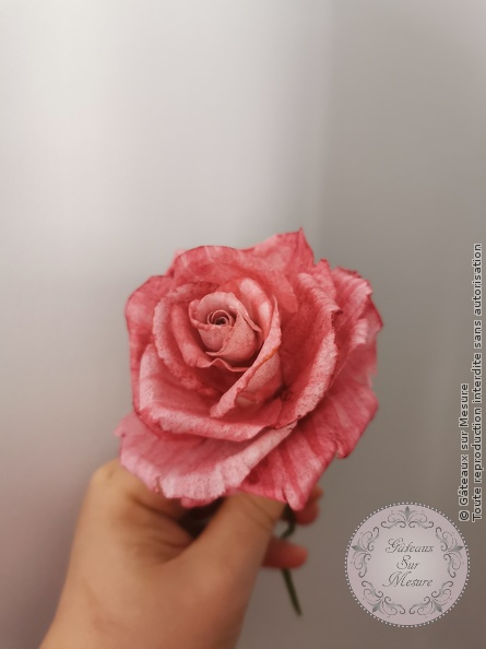 Cake Design - Formation Fleurs en Wafer Paper - Gâteaux sur Mesure Paris - cake design course, cake design training, cakedesign, Ecole de Cake Design de Paris, fleursenwaferpaper, formation, formation cake design, France, Paris, waferpaper, waferpaperflowers