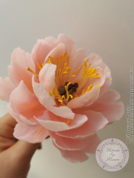 Cake Design - Fleurs en sucre - Gâteaux sur Mesure Paris - fleurs, fleurs en sucre, formation, formation cake design, pate flexible, pivoine, pivoine en sucre, rose, rose en sucre, sugarart, sugarpeony