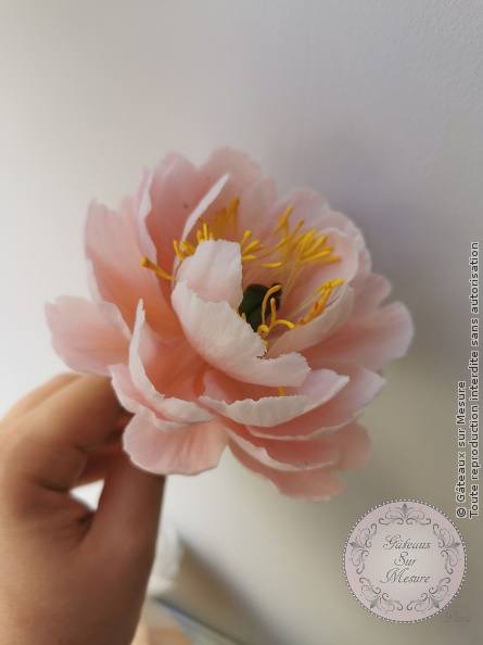 Cake Design - Formation Fleurs en Sucre - Gâteaux sur Mesure Paris - cake design course, cake design training, Ecole de Cake Design de Paris, fleurs, fleurs en sucre, formation, formation cake design, France, Paris, pate flexible, pivoine, pivoine en sucre, rose, rose en sucre, sugarart, sugarpeony