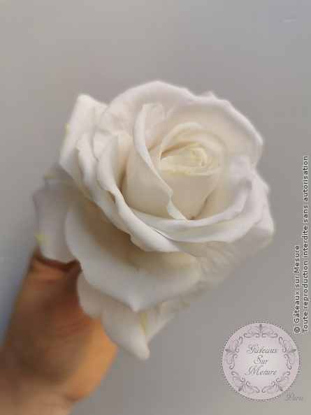 Cake Design - Fleurs en sucre - Gâteaux sur Mesure Paris - fleurs, fleurs en sucre, formation, formation cake design, pate flexible, pivoine, pivoine en sucre, rose, rose en sucre, sugarart, sugarpeony