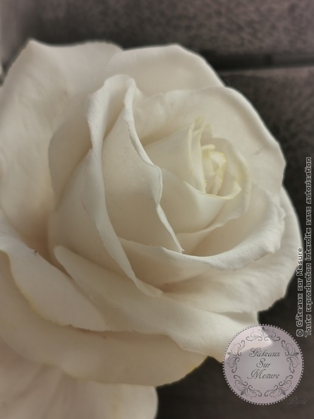 Cake Design - Fleurs en sucre - Gâteaux sur Mesure Paris - fleurs, fleurs en sucre, formation, formation cake design, pate flexible, pivoine, pivoine en sucre, rose, rose en sucre, sugarart, sugarpeony