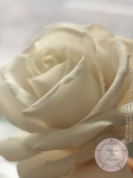 Cake Design - Formation Fleurs en Sucre - Gâteaux sur Mesure Paris Cake Design - Formation Fleurs en Sucre - Gâteaux sur Mesure Paris - cake design course, cake design training, Ecole de Cake Design de Paris, fleurs, fleurs en sucre, formation, formation cake design, France, Paris, pate flexible, pivoine, pivoine en sucre, rose, rose en sucre, sugarart, sugarpeony