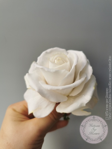 Cake Design - Formation Fleurs en Sucre - Gâteaux sur Mesure Paris Cake Design - Formation Fleurs en Sucre - Gâteaux sur Mesure Paris - cake design course, cake design training, Ecole de Cake Design de Paris, fleurs, fleurs en sucre, formation, formation cake design, France, Paris, pate flexible, pivoine, pivoine en sucre, rose, rose en sucre, sugarart, sugarpeony