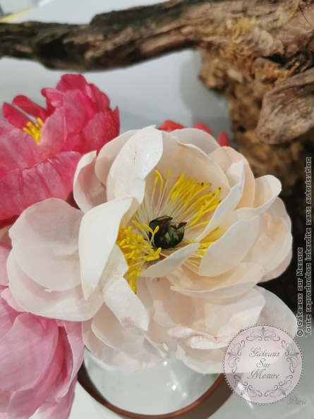 Cake Design - Formation Fleurs en Wafer Paper - Gâteaux sur Mesure Paris Cake Design - Formation Fleurs en Wafer Paper - Gâteaux sur Mesure Paris - cake design course, cake design training, cakedesign, Ecole de Cake Design de Paris, ecolecakedesign, fleurs en sucre, fleursenwaferpaper, formation, formation cake design, France, Paris, waferpaper