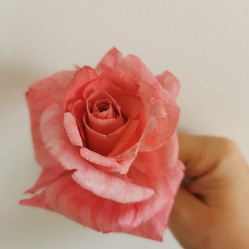 Rose en wafer paper