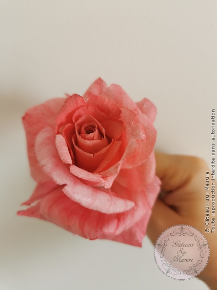 Rose en wafer paper