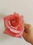 Formation Fleurs en Wafer Paper