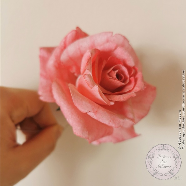 Cake Design - Rose en wafer paper - Gâteaux sur Mesure Paris - cakedesign, ecolecakedesign, fleurs, fleurs comestibles, formation, waferpaper