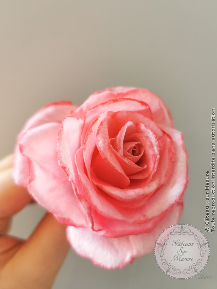 Fleurs en Wafer Paper