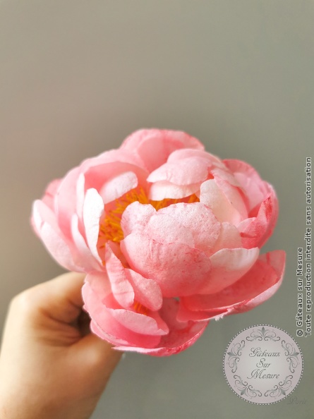 Fleurs en Wafer Paper