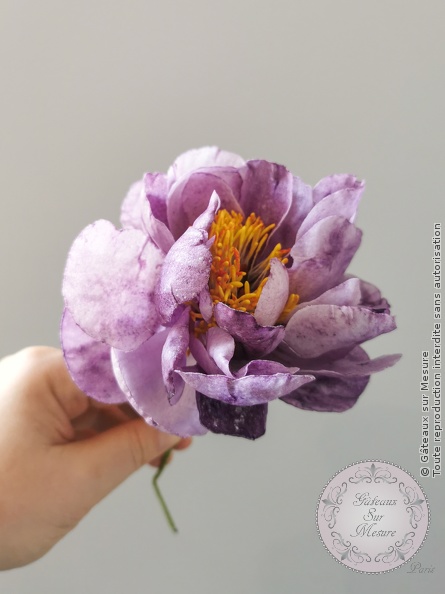 Cake Design - Fleurs en Wafer Paper - Gâteaux sur Mesure Paris - cakedesign, ecolecakedesign, fleurs, fleurs en sucre, formation, formationintegrale, gateau, Paris, patisserie, waferpaper<br />
<b>Warning</b>: Undefined array key