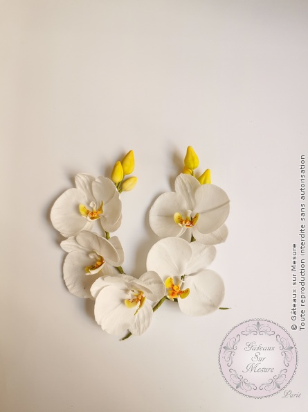 Cake Design - Fleurs en sucre - Gâteaux sur Mesure Paris - cakedesign, fleurs en sucre, formation, patisserie