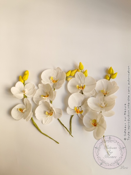 Cake Design - Formation Fleurs en Sucre - Gâteaux sur Mesure Paris - cake design course, cake design training, cakedesign, Ecole de Cake Design de Paris, fleurs en sucre, formation, formation cake design, France, Paris, patisserie