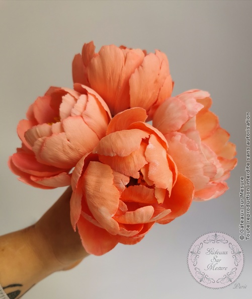 Cake Design - Formation Fleurs en Sucre - Gâteaux sur Mesure Paris - cake design course, cake design training, cakedesign, Ecole de Cake Design de Paris, fleurs en sucre, formation, formation cake design, France, Paris, patisserie