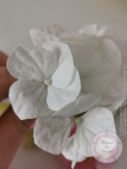Cake Design - Wedding Cake sans pâte à sucre - Gâteaux sur Mesure Paris Cake Design - Wedding Cake sans pâte à sucre - Gâteaux sur Mesure Paris - cake, cake design course, cake design training, cakedesign, Ecole de Cake Design de Paris, fleurs en sucre, formation, formation cake design, France, Paris, patisserie, peinture sur gateau, peinturesurgâteau, pièce montée, waferpaper, weddingcake