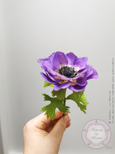 Cake Design - Formation Fleurs en Sucre - Gâteaux sur Mesure Paris Cake Design - Formation Fleurs en Sucre - Gâteaux sur Mesure Paris - artisan, artisanat, cake design course, cake design training, Ecole de Cake Design de Paris, excellence, fleurs en sucre, formation, formation cake design, France, madeinfrance, Paris, sugar flowers