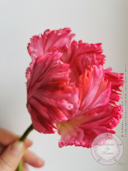 Cake Design - Fleurs en sucre - Gâteaux sur Mesure Paris - artisan, artisanat, excellence, fleurs en sucre, formation, madeinfrance, sugar flowers<br />
<b>Warning</b>: Undefined array key