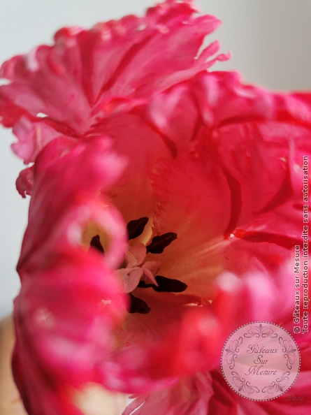 Cake Design - Fleurs en sucre - Gâteaux sur Mesure Paris - artisan, artisanat, excellence, fleurs en sucre, formation, madeinfrance, sugar flowers<br />
<b>Warning</b>: Undefined array key