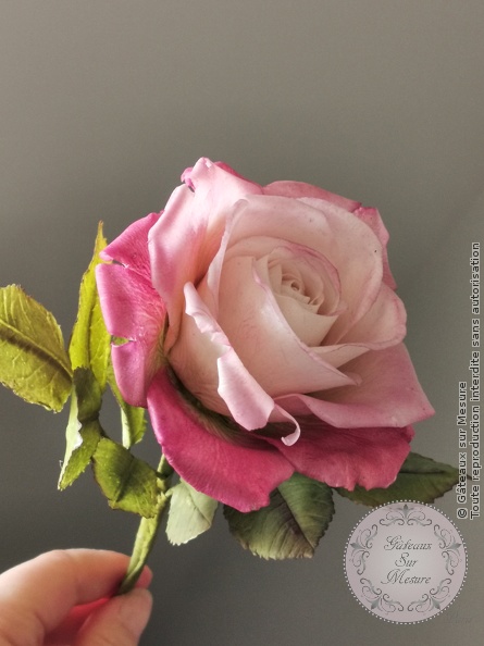 Cake Design - Rose en sucre - Gâteaux sur Mesure Paris - cakedesign, ecolecakedesign, fleurs en sucre, formatin cake design, formation, layer cake, Paris, wedding cake