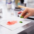 Formation Fleurs en Sucre