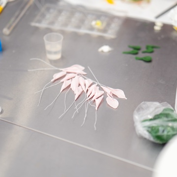 Formation Fleurs en Sucre
