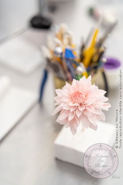 Formation Fleurs en Sucre