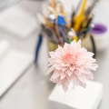 Formation Fleurs en Sucre