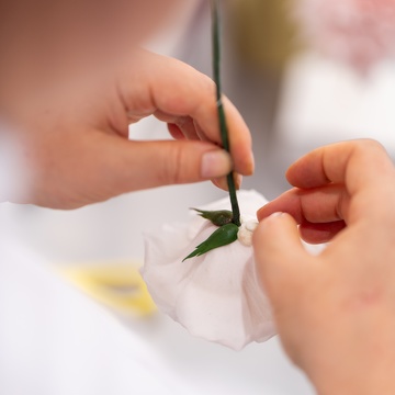 Formation Fleurs en Sucre