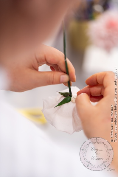 Formation Fleurs en Sucre