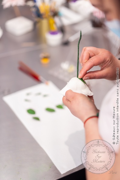 Formation Fleurs en Sucre