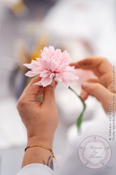 Formation Fleurs en Sucre