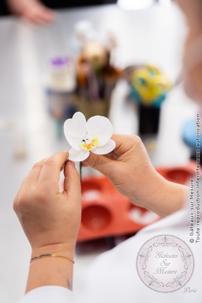 Cake Design - Formation Fleurs en Sucre - Gâteaux sur Mesure Paris Cake Design - Formation Fleurs en Sucre - Gâteaux sur Mesure Paris - cake design course, cake design training, cakedesign, Ecole de Cake Design de Paris, fleurs comestibles, fleurs en sucre, flowers, formation, formation cake design, formationprofessionnelle, France, Paris, patisserie, sugarflowers