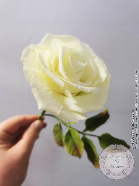 Cake Design - Formation Fleurs en Sucre - Gâteaux sur Mesure Paris Cake Design - Formation Fleurs en Sucre - Gâteaux sur Mesure Paris - cake design course, cake design training, cakedesign, ecdp, Ecole de Cake Design de Paris, ecoledecakedesign, fleurs, fleursensucre, formation, formation cake design, France, Paris