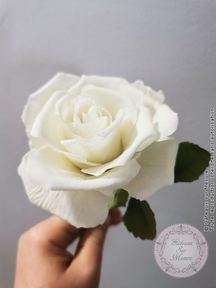 Cake Design - Formation Fleurs en Sucre - Gâteaux sur Mesure Paris Cake Design - Formation Fleurs en Sucre - Gâteaux sur Mesure Paris - cake design course, cake design training, cakedesign, ecdp, Ecole de Cake Design de Paris, ecoledecakedesign, fleurs, fleursensucre, formation, formation cake design, France, Paris
