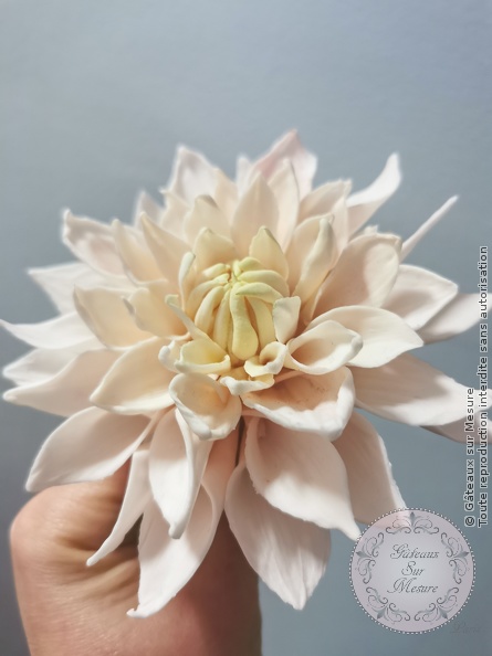 Cake Design - Formation Fleurs en Sucre - Gâteaux sur Mesure Paris - cakedesign, ecdp, ecoledecakedesign, fleurs, fleursensucre, formatin cake design, formation, Paris