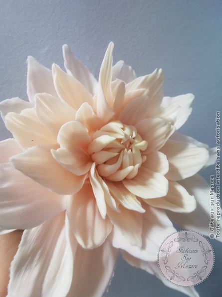 Cake Design - Formation Fleurs en Sucre - Gâteaux sur Mesure Paris - cake design course, cake design training, cakedesign, ecdp, Ecole de Cake Design de Paris, ecoledecakedesign, fleurs, fleursensucre, formation, formation cake design, France, Paris