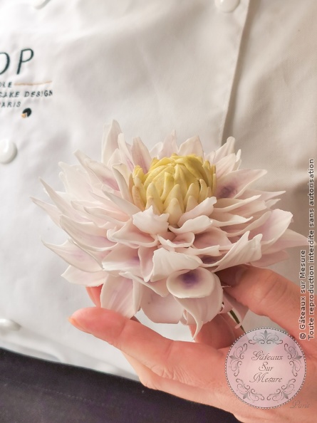 Cake Design - Formation Fleurs en Sucre - Gâteaux sur Mesure Paris - ecdp, ecolecakedesign, formation, formation cake design, Paris, stage