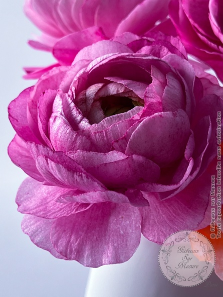 Cake Design - fleurs en Wafer Paper - Gâteaux sur Mesure Paris Cake Design - fleurs en Wafer Paper - Gâteaux sur Mesure Paris - artisan, artisanat, biscuits, biscuits décorés, cake design course, cake design training, cakedesign, devenir cake designer, ecdp, Ecole de Cake Design de Paris, fleurs en sucre, formation, formation cake design, France, glace royale, Paris, patisserie, pièce montée, waferpaper, wedding cake