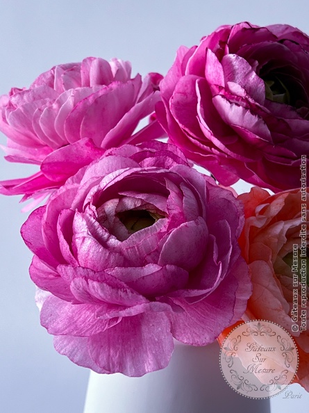 fleurs en Wafer Paper