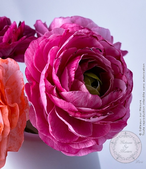 fleurs en Wafer Paper