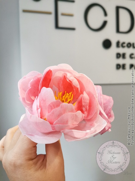 Cake Design - fleurs en Wafer Paper - Gâteaux sur Mesure Paris - cake design course, cake design training, Ecole de Cake Design de Paris, formation, formation cake design, France, Paris