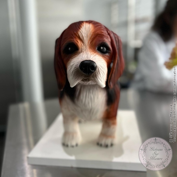 Cake Design - Gâteau 3 D - Gâteaux sur Mesure Paris Cake Design - Gâteau 3 D - Gâteaux sur Mesure Paris - cake, cake design course, cake design training, cakedesign, Ecole de Cake Design de Paris, formation, formation cake design, France, frenchpastry, Paris, patisserie