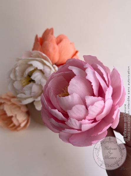 Cake Design - Formation complète cake design - Gâteaux sur Mesure Paris Cake Design - Formation complète cake design - Gâteaux sur Mesure Paris - biscuits, cake design course, cake design training, Ecole de Cake Design de Paris, fleurs, fleurs en sucre, formation, formation cake design, France, gateau carré, gateau pate a sucre, gateau sculpté, glace royale, Paris, patisserie, wafer paper, weddingcake