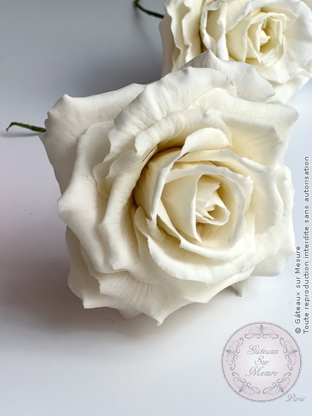 Cake Design - Formation complète cake design - Gâteaux sur Mesure Paris Cake Design - Formation complète cake design - Gâteaux sur Mesure Paris - biscuits, cake design course, cake design training, Ecole de Cake Design de Paris, fleurs, fleurs en sucre, formation, formation cake design, France, gateau carré, gateau pate a sucre, gateau sculpté, glace royale, Paris, patisserie, wafer paper, weddingcake