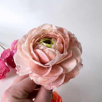 Formation Fleurs en Wafer Paper