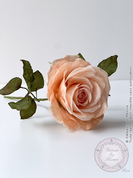 Cake Design - Formation Fleurs en Wafer Paper - Gâteaux sur Mesure Paris - cake design course, cake design training, cakedesign, Ecole de Cake Design de Paris, formation, formation cake design, France, Paris, patisserie, patisserie francaise, rose, wafer paper, waferpaperflowers