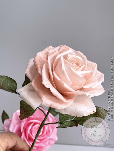 Cake Design - Formation Fleurs en Wafer Paper - Gâteaux sur Mesure Paris Cake Design - Formation Fleurs en Wafer Paper - Gâteaux sur Mesure Paris - cake design course, cake design training, cakedesign, Ecole de Cake Design de Paris, formation, formation cake design, France, Paris, patisserie, patisserie francaise, rose, wafer paper, waferpaperflowers
