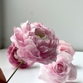 Formation Fleurs en Wafer Paper