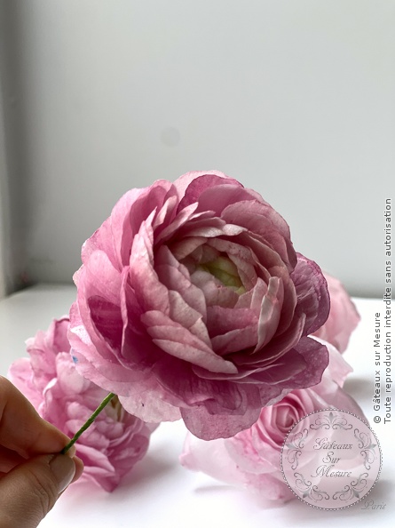 Cake Design - Formation Fleurs en Wafer Paper - Gâteaux sur Mesure Paris - cake design course, cake design training, cakedesign, Ecole de Cake Design de Paris, formation, formation cake design, France, Paris, patisserie, patisserie francaise, rose, wafer paper, waferpaperflowers