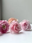 Formation Fleurs en Wafer Paper